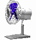 Small Fan